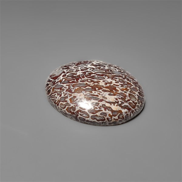 Dinosaur Bone Fossil Cabochon