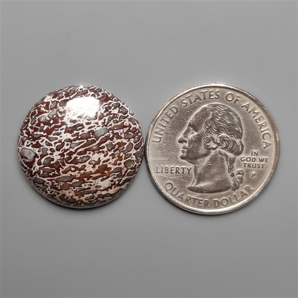 Dinosaur Bone Fossil Cabochon