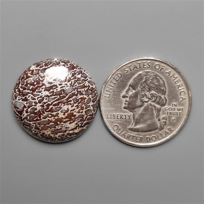 Dinosaur Bone Fossil Cabochon