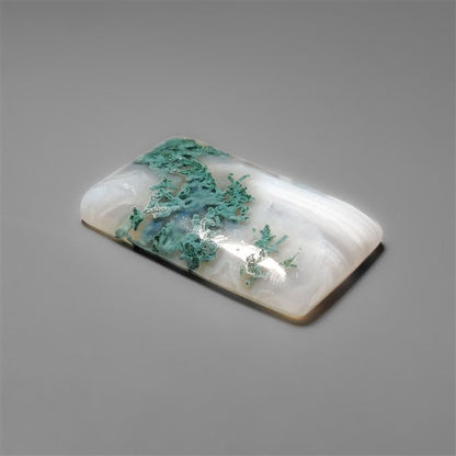 White Horse Canyon Moss Agate Cabochon