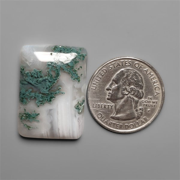 White Horse Canyon Moss Agate Cabochon