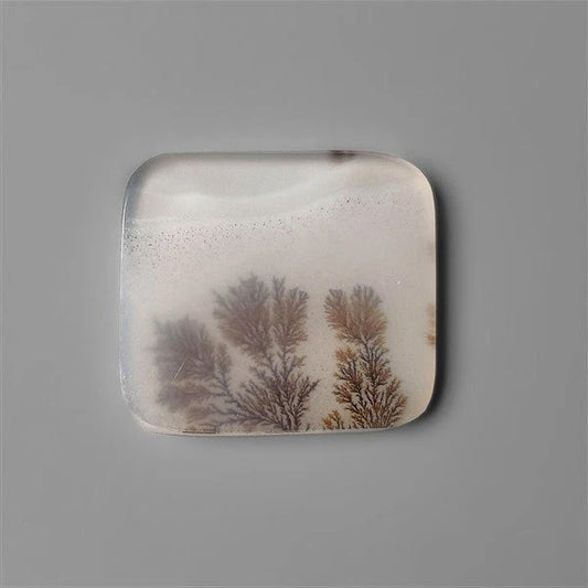Scenic Agate Cabochon