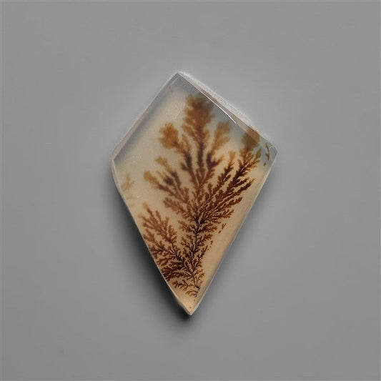 Scenic Agate