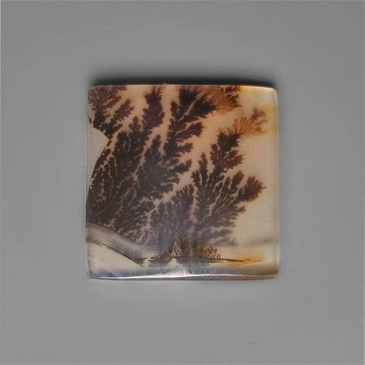 Scenic Agate Cabochon