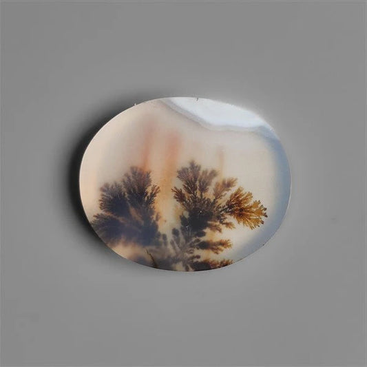 Scenic Agate Cabochon