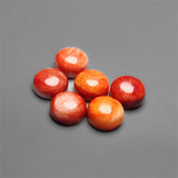 Spiny Oyster Shell Calibrated Cabochons Lot