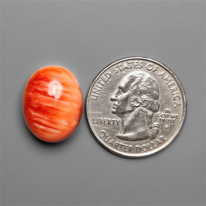 Spiny Oyster Shell Cabochon