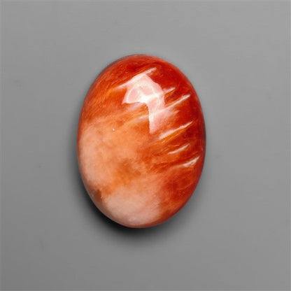 Spiny Oyster Shell
