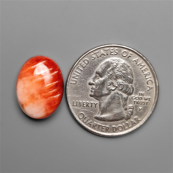 Spiny Oyster Shell Cabochon
