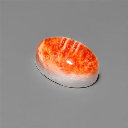 Spiny Oyster Shell Cabochon