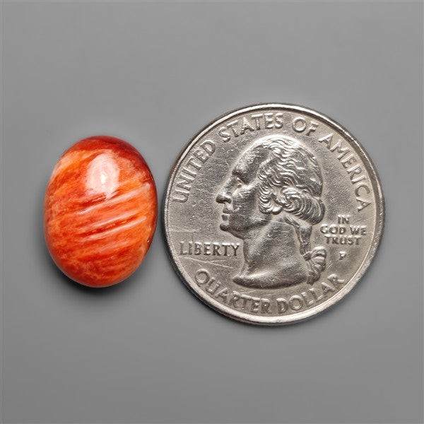 Spiny Oyster Shell Cabochon