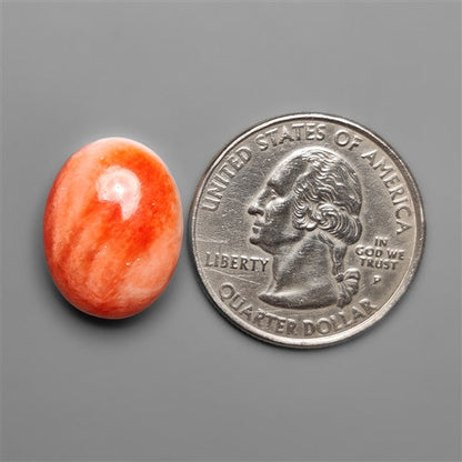 Spiny Oyster Shell Cabochon