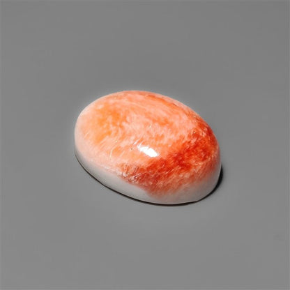Spiny Oyster Shell Cabochon