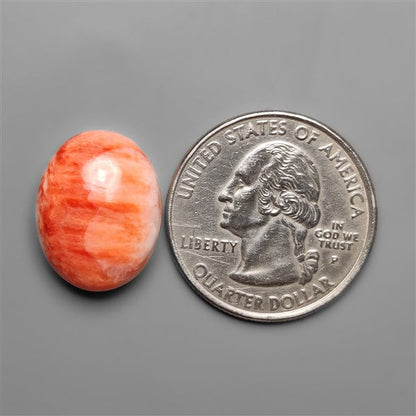 Spiny Oyster Shell Cabochon