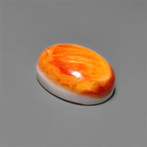 Spiny Oyster Shell Cabochon