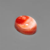Spiny Oyster Shell Cabochon