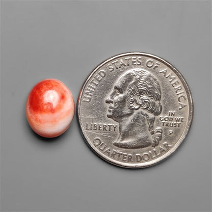 Spiny Oyster Shell Cabochon