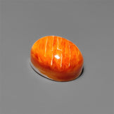Spiny Oyster Shell Cabochon
