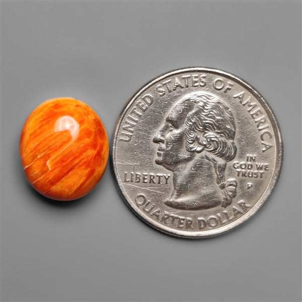 Spiny Oyster Shell Cabochon