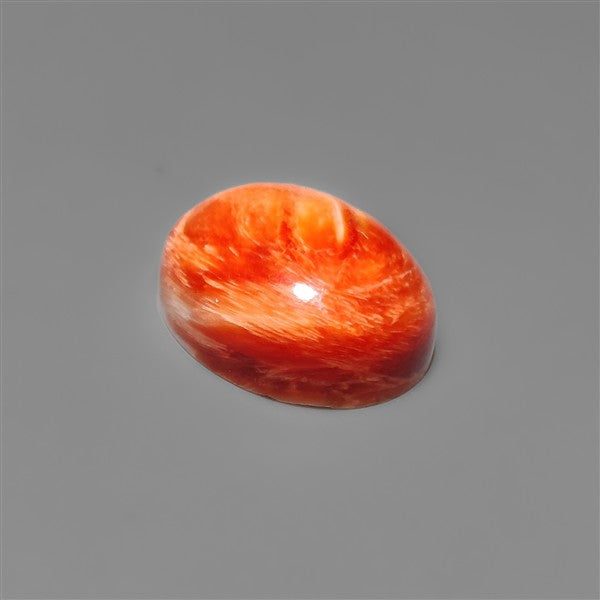 Spiny Oyster Shell Cabochon
