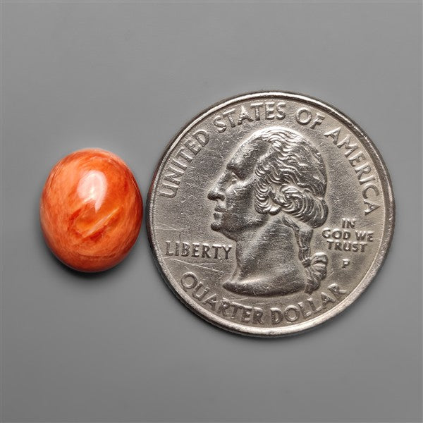 Spiny Oyster Shell Cabochon