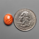 Spiny Oyster Shell Cabochon