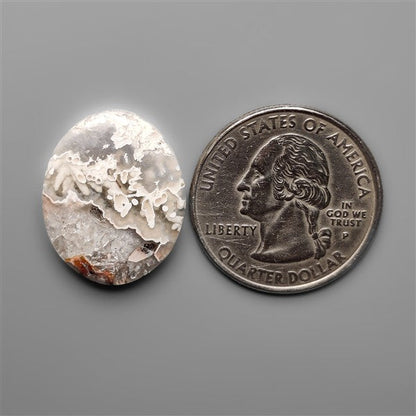 Orbicular Crazy Lace Tube Agate