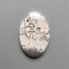 Orbicular Crazy Lace Tube Agate