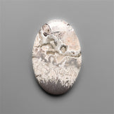 Orbicular Crazy Lace Tube Agate
