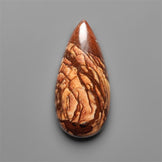 Biggs Jasper Selected Cabochon