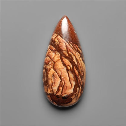 Biggs Jasper Selected Cabochon