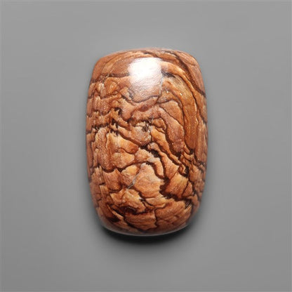 Biggs Jasper Selected Cabochon