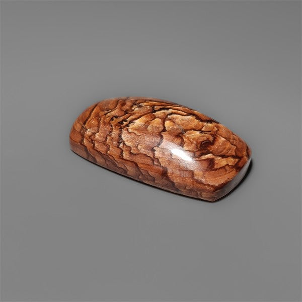Biggs Jasper Selected Cabochon