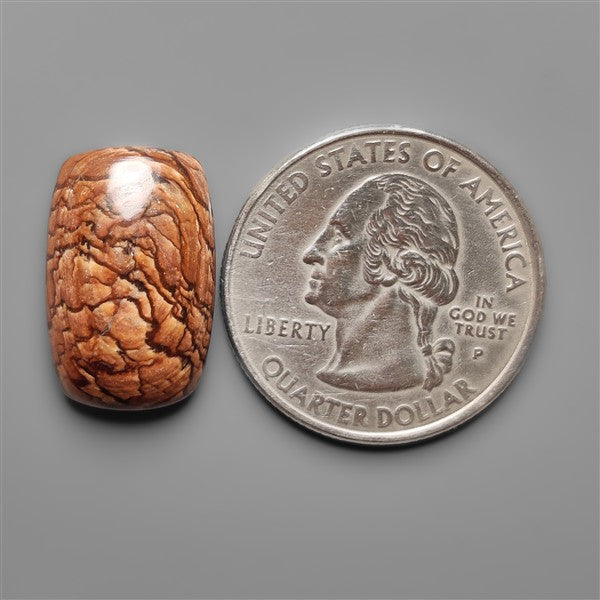 Biggs Jasper Selected Cabochon