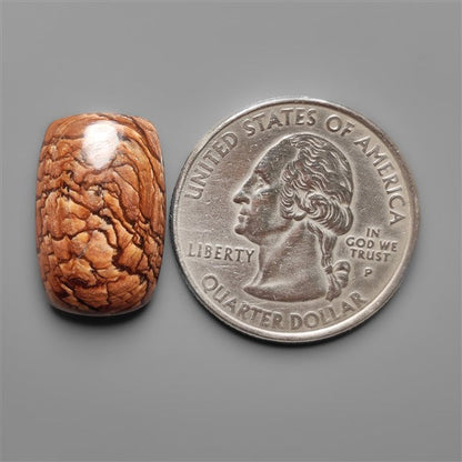 Biggs Jasper Selected Cabochon