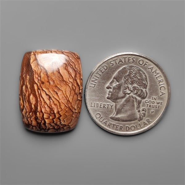Biggs Jasper Selected Cabochon