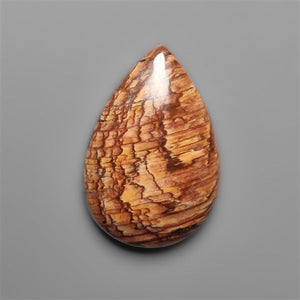 Biggs Jasper Selected Cabochon