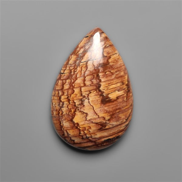 Biggs Jasper Selected Cabochon