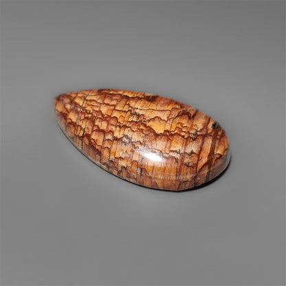 Biggs Jasper Selected Cabochon