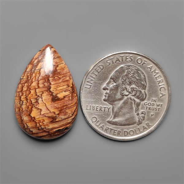 Biggs Jasper Selected Cabochon