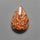 Biggs Jasper Selected Cabochon