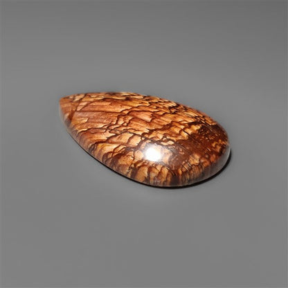 Biggs Jasper Selected Cabochon