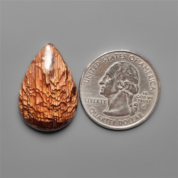 Biggs Jasper Selected Cabochon