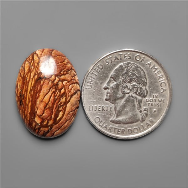 Biggs Jasper Selected Cabochon
