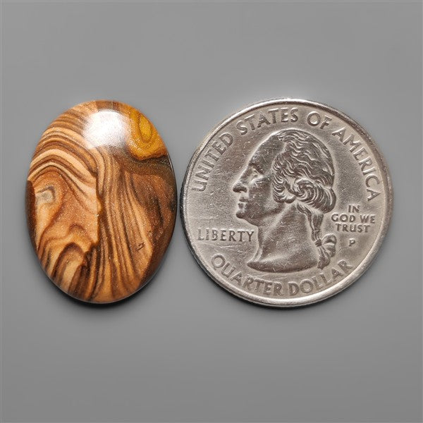 Biggs Jasper Selected Cabochon