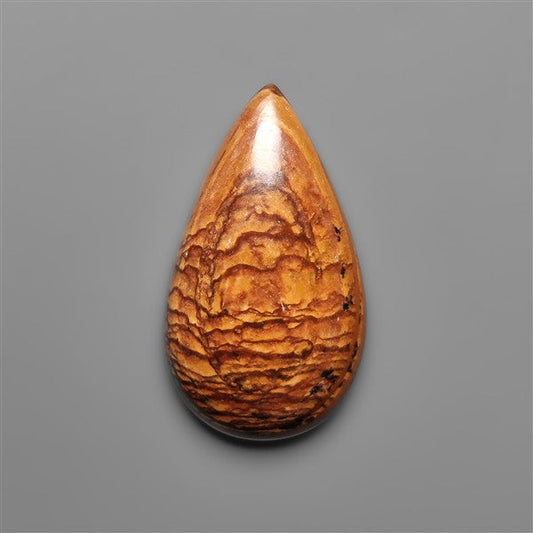 Biggs Jasper Selected Cabochon