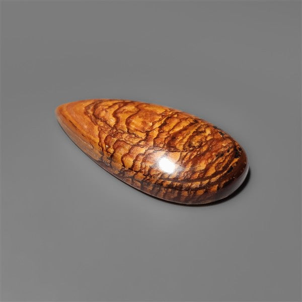 Biggs Jasper Selected Cabochon