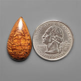 Biggs Jasper Selected Cabochon