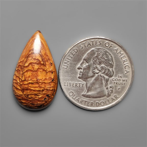Biggs Jasper Selected Cabochon