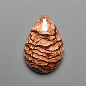 Biggs Jasper Selected Cabochon